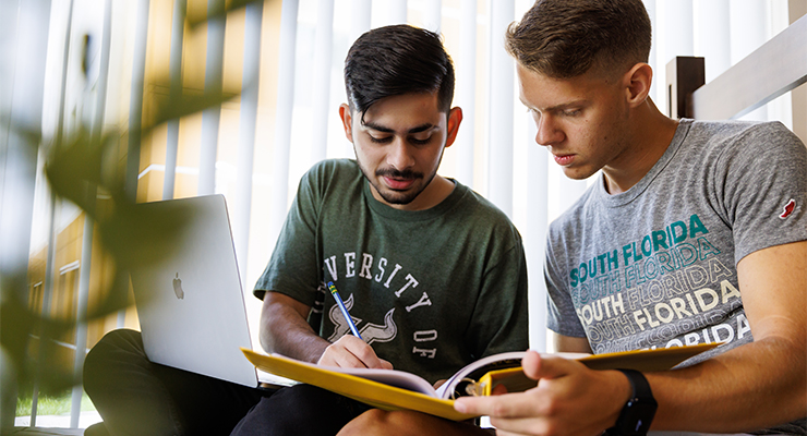 Two USF students studying together.