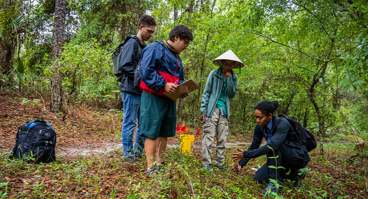 Four students hanging out in the woods.