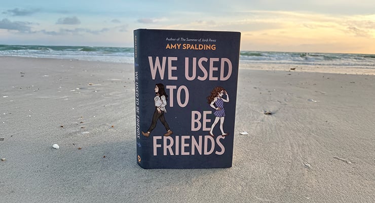 We Used to Be Friends by Amy Spalding 