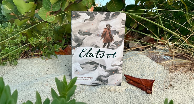 Elatsoe By Darcy Little Badger