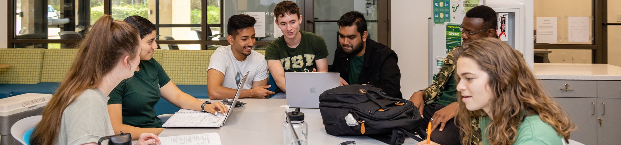 Students studying in the honors college.