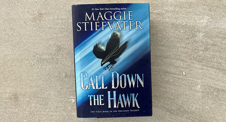 Call Down the Hawk: published by Scholastic, an imprint of Scholastic Inc.