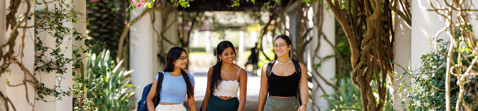 Three USF students walking together on the Tampa campus.