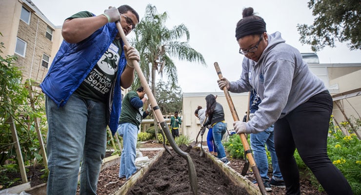 USF students at a service project