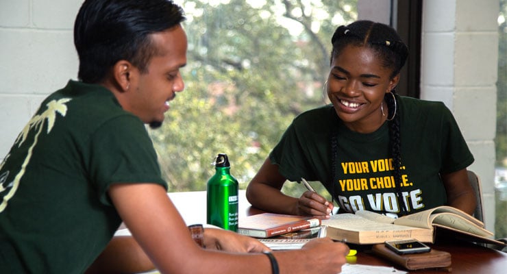 Image of two USF students studying