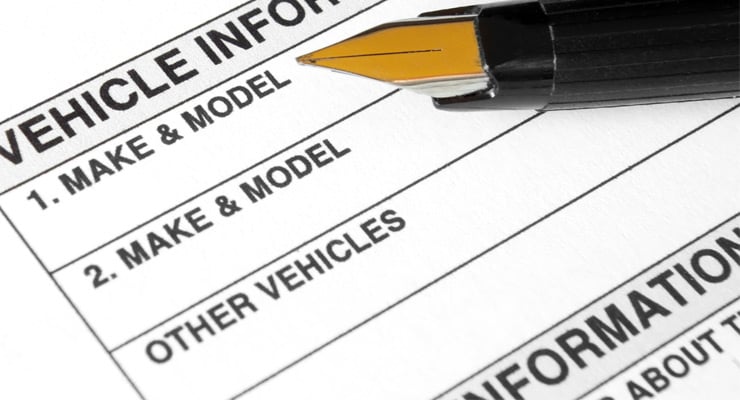 Vehicle information and registration document example.