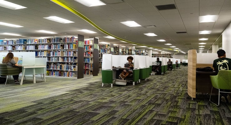 USF students studying at the library