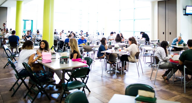 USF students having a meal together