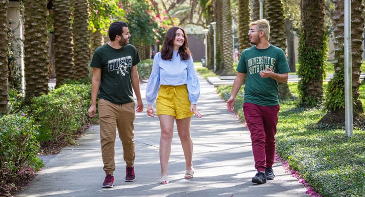 USF students go for a walk outside under some palm trees on campus.