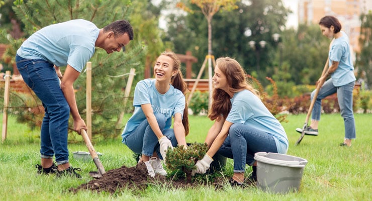 A group of college students planting trees in the park