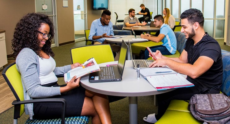 Students studying together