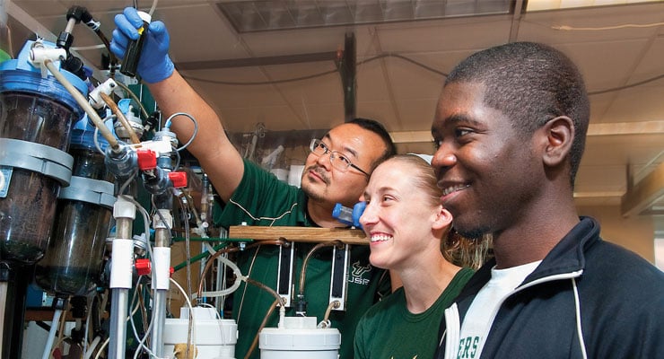 USF students participating in research at USF 