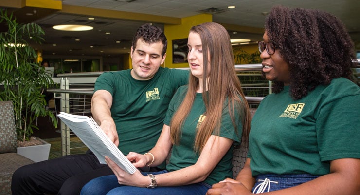 USF Honors College students collaborating on a project.