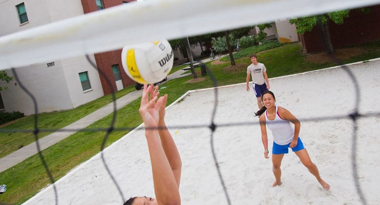 USF Students playing a game of volleyball.