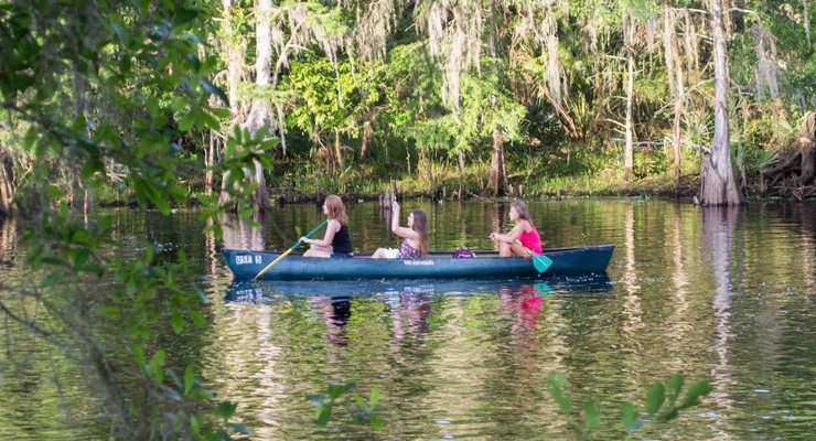 USF students relaxing by having fun canoeing in the Hillsborough River.