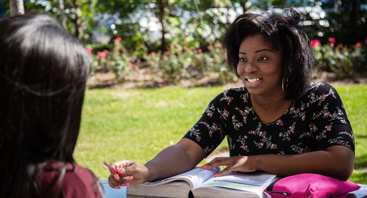 Two USF students studying together.