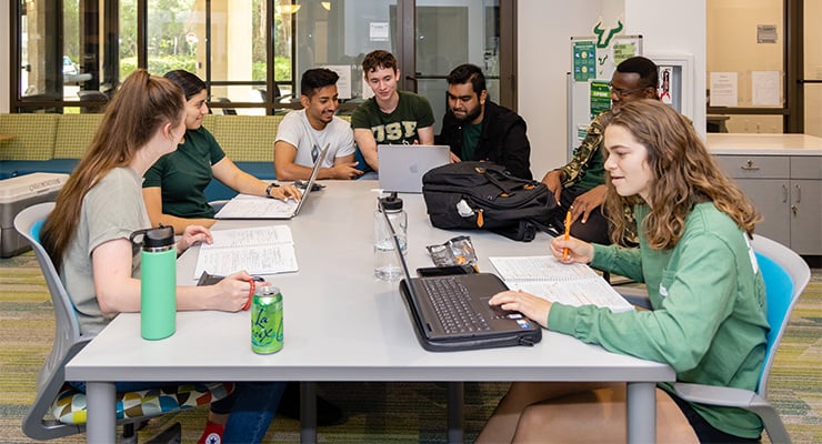 Students studying in the honors college.