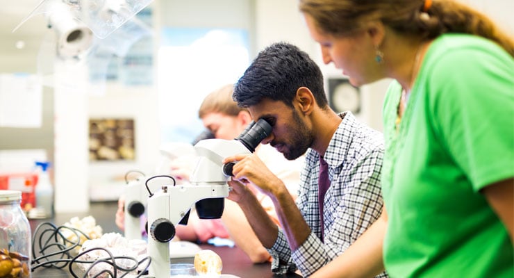 USF students using research facilities on campus