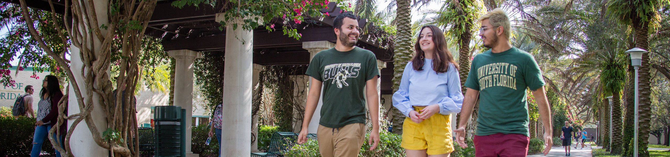 USF Tampa students walking together outside