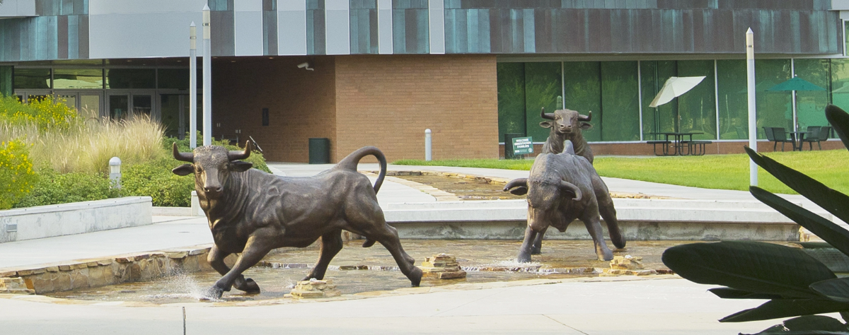 Bulls Fountain at USF Tampa Campus