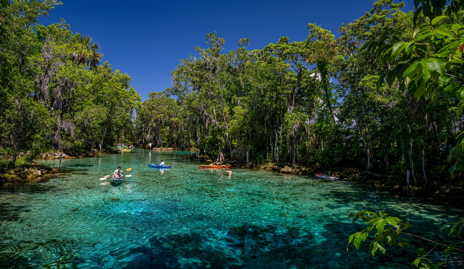 Beautiful clear water at Crystal River Springs.