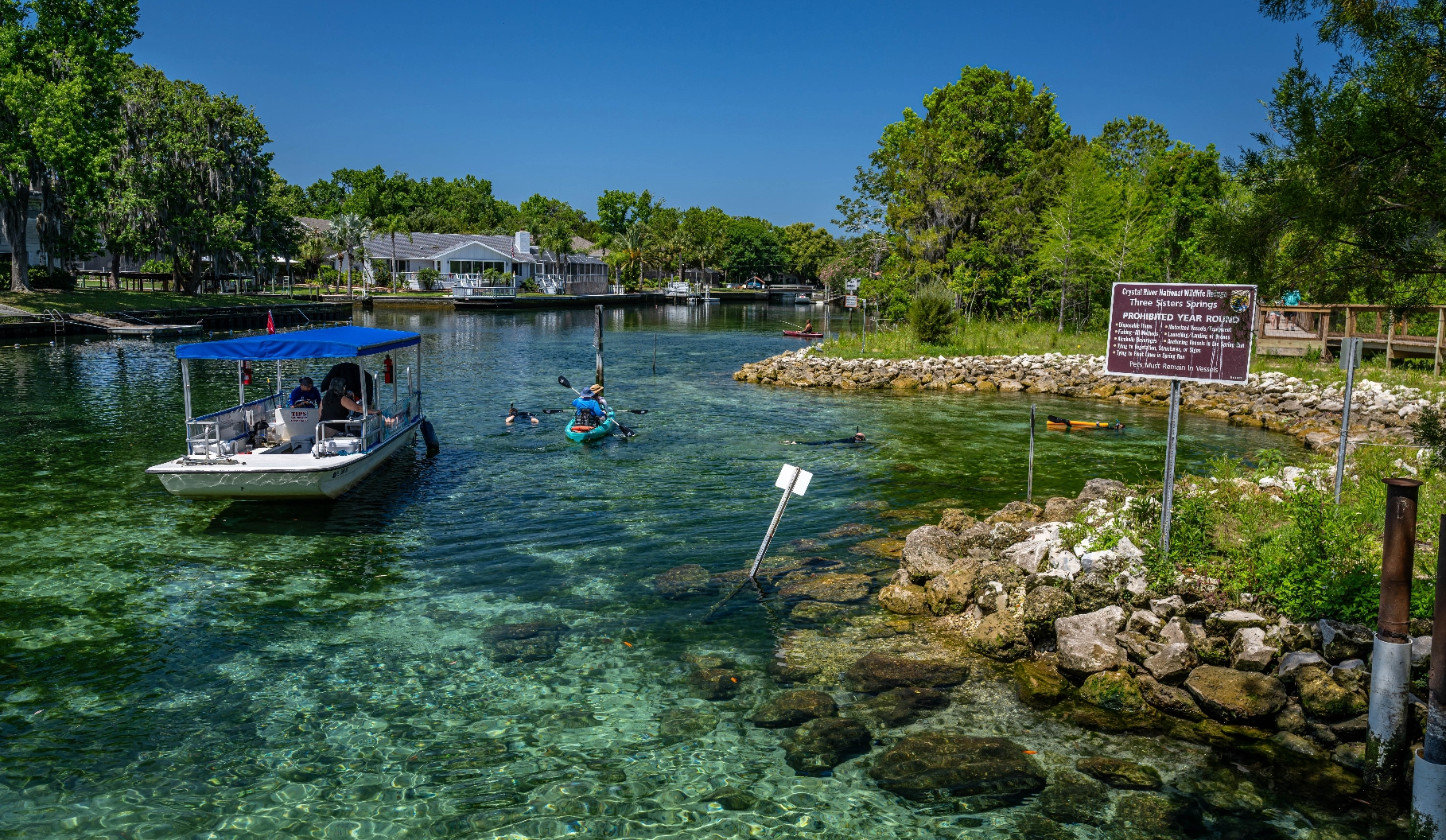 People kayaking and snorkeling at Crystal River Springs.