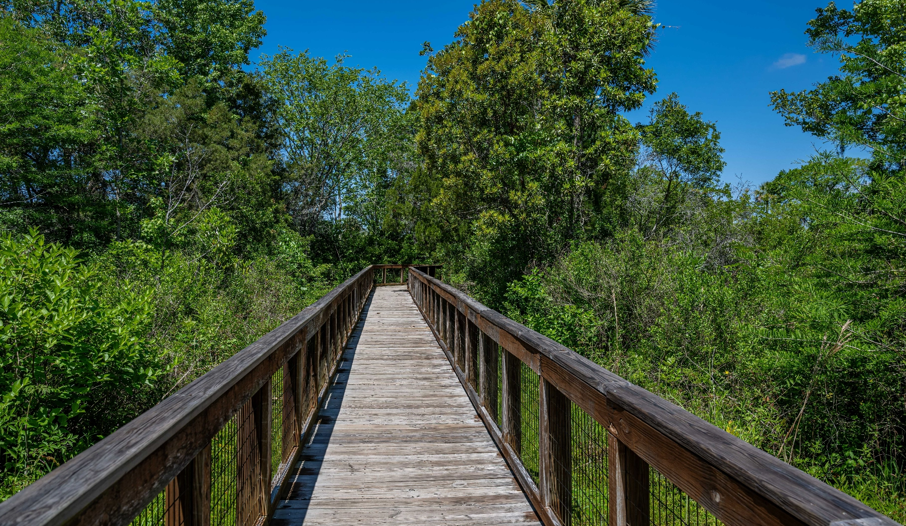 A wooden boardwalk at Crystal River Springs.