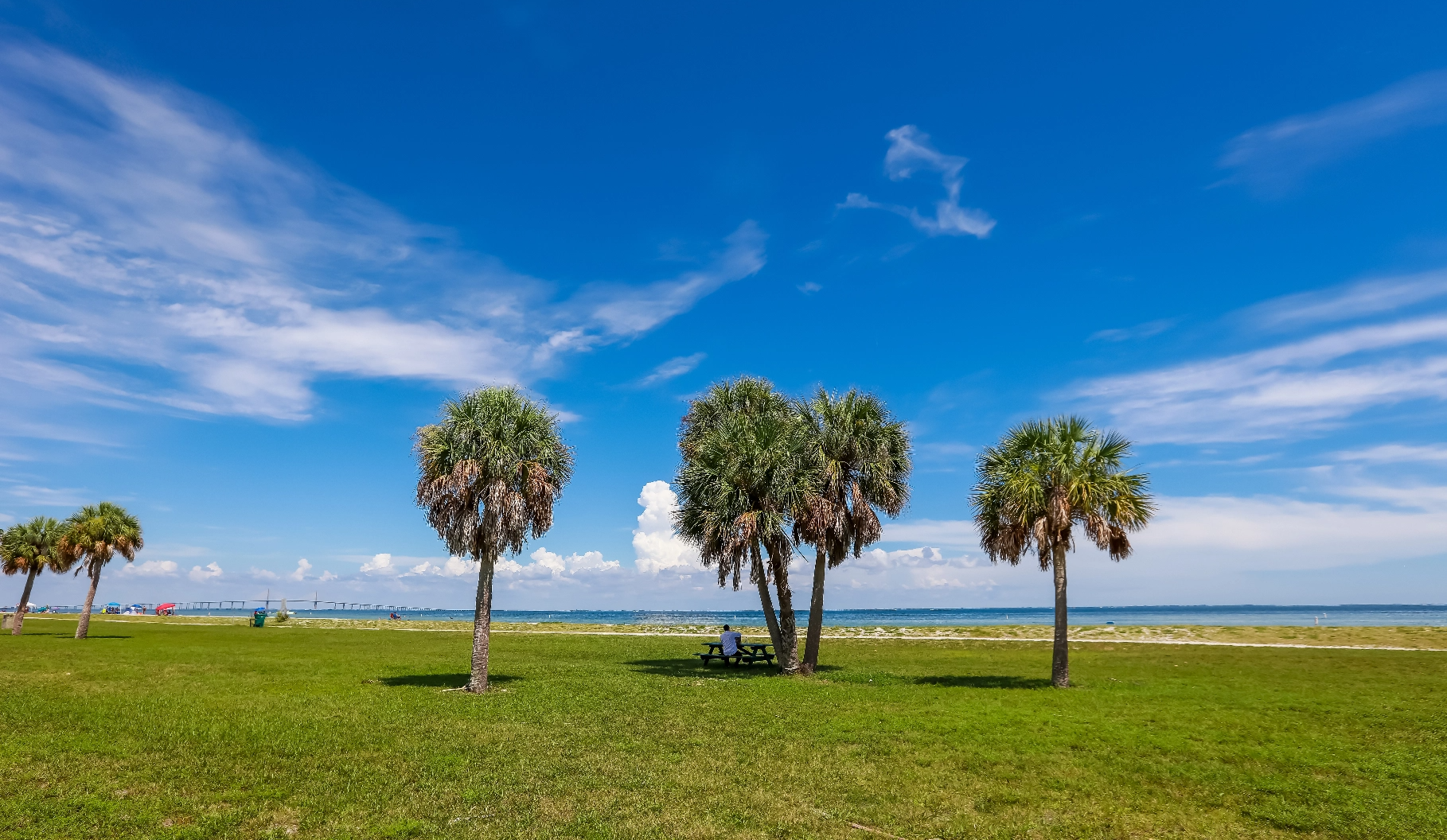Clear sunny day at Fort Desoto Park.