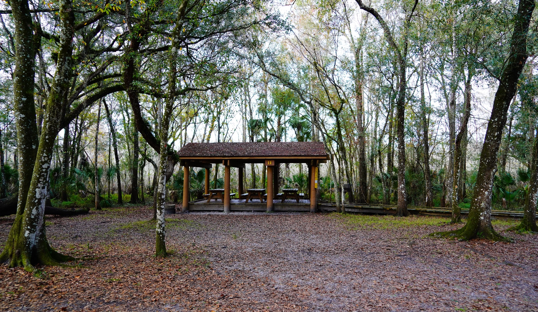 Lettuce Lake Park.