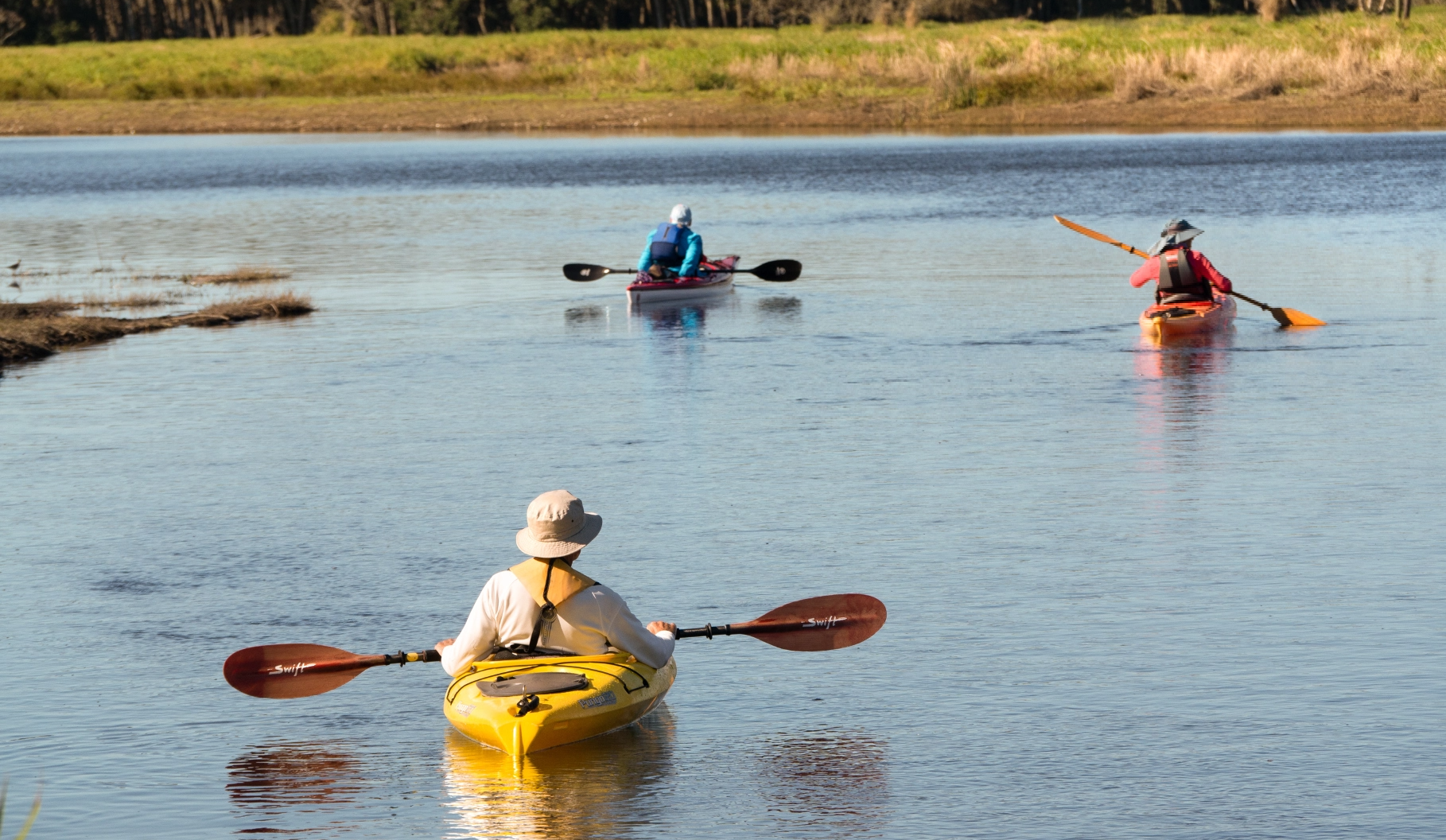 People kayaking at the Myakka River State Park.