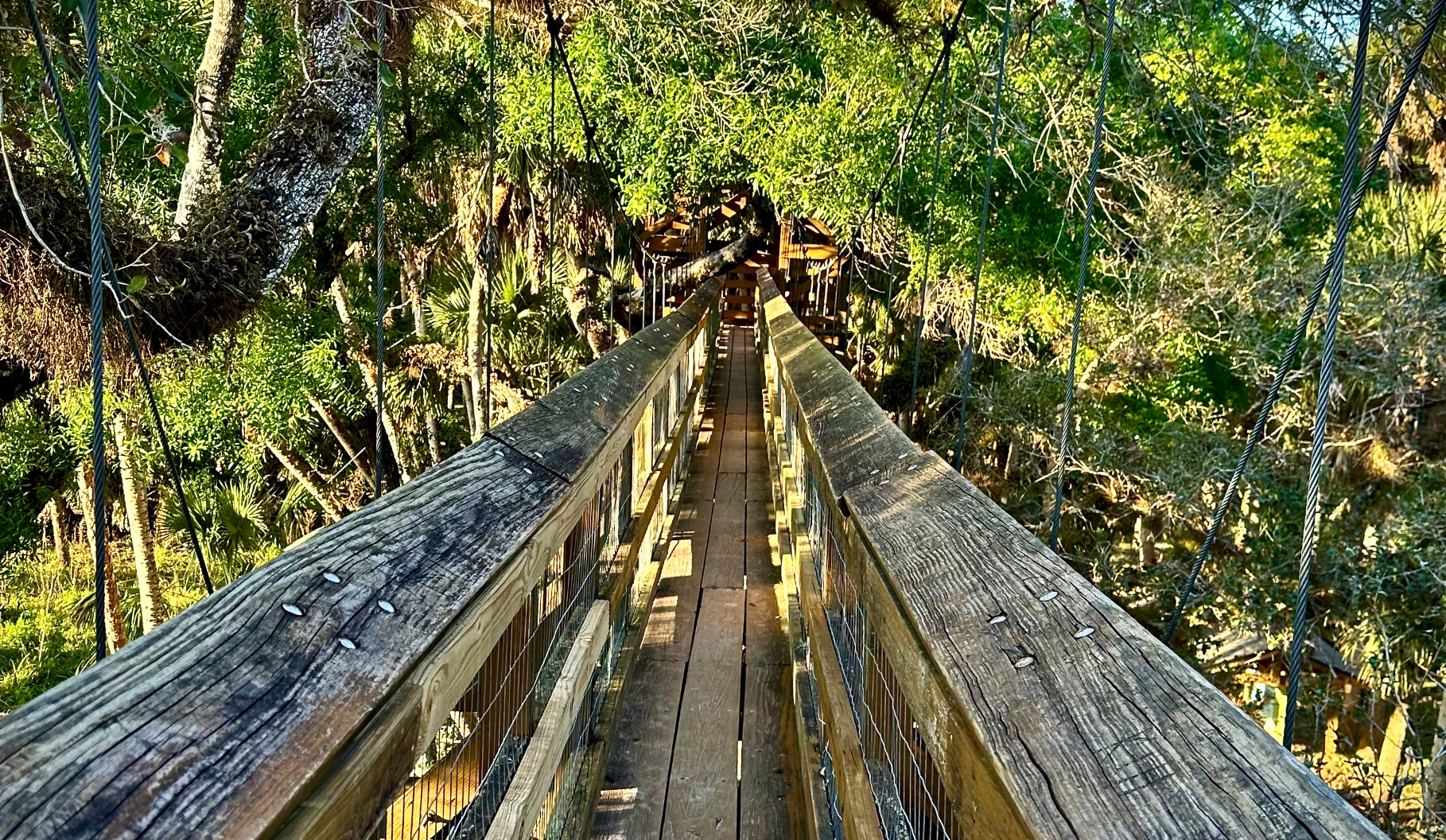 A thin boardwalk at the Myakka River State Park.
