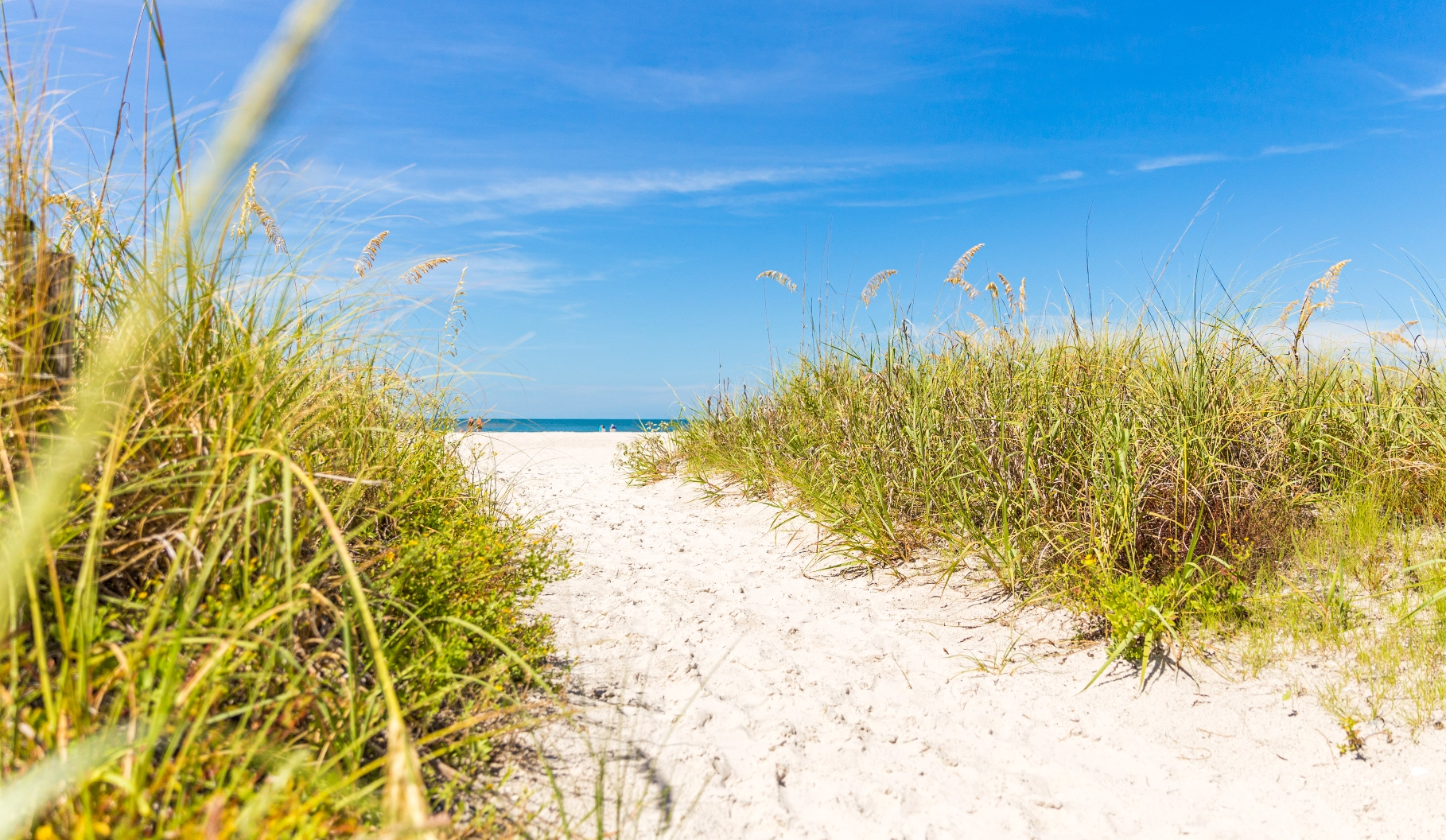 Patches of tall grass and sand on St. Pete Beach.