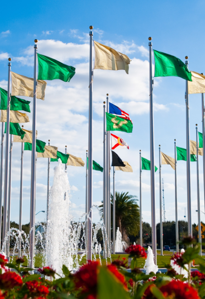 United States, Florida, and USF flags on USF Tampa campus.